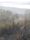 В течение полутора суток тушили пожар. А потом решили: да гори оно всё синим пламенем... 87 kБ